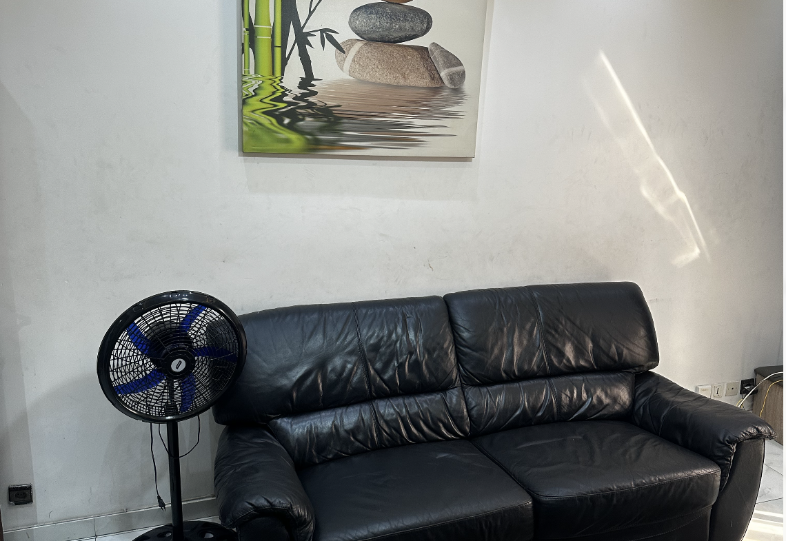 appartement meublé F3 avec 3 salles de bain à Liberté 6